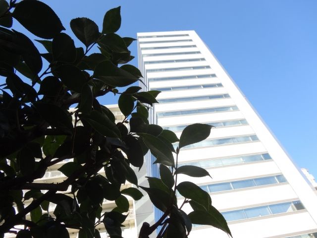 マンション,売る,売却